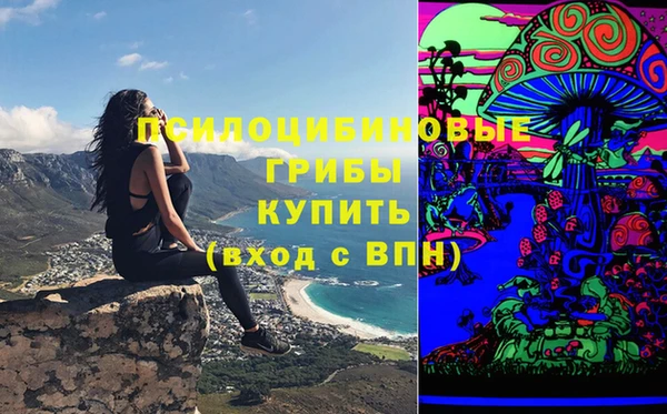 МДМА Ельня