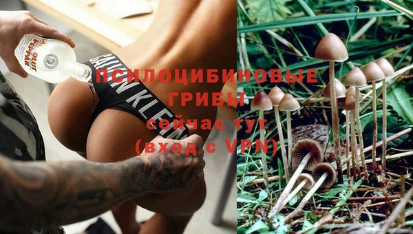 spice Елабуга