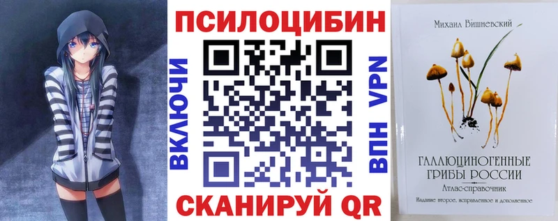 Купить закладки  Щучье  Псилоцибиновые грибы Cubensis 